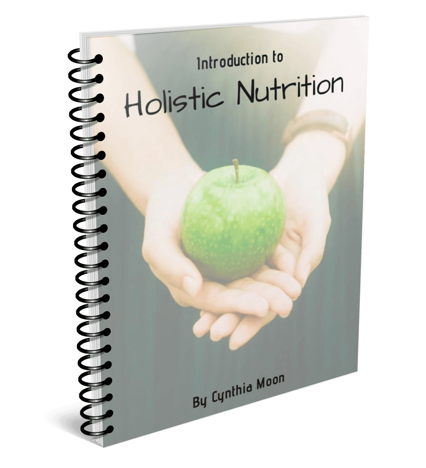 how to transition to holistic nutrition guide