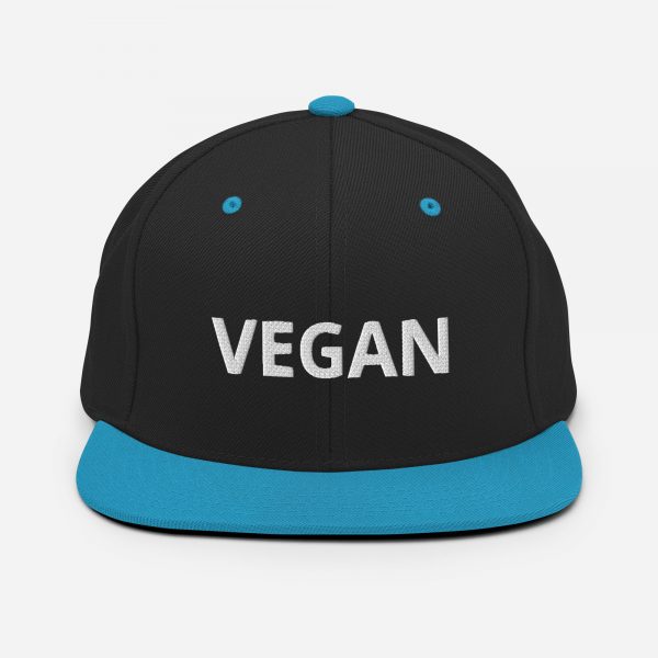 Snapback Hat - Image 7