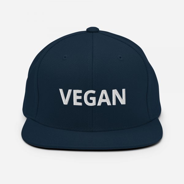 Snapback Hat - Image 5