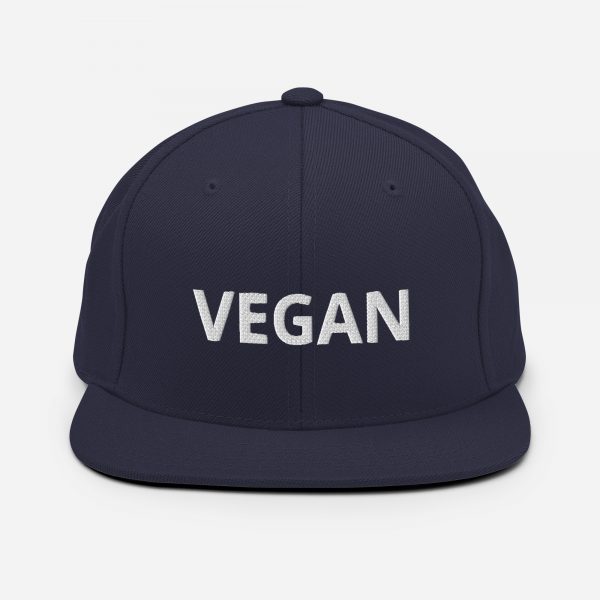 Snapback Hat - Image 11
